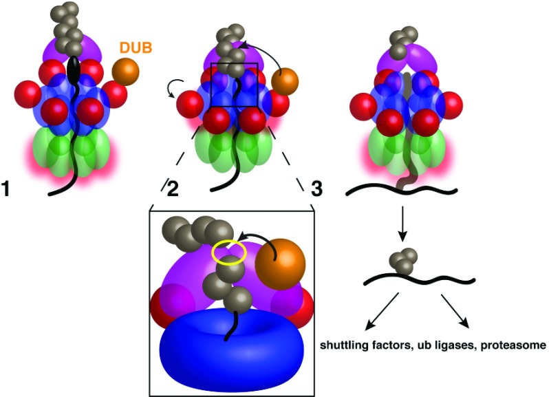 Figure 3. 