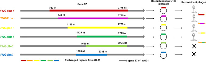 Fig. 1