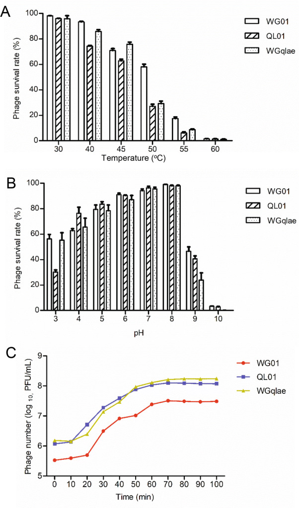 Fig. 4