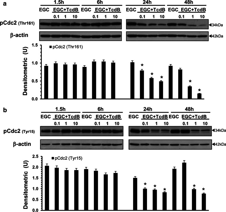 Fig. 6