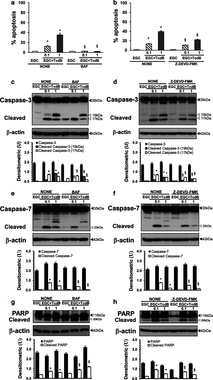 Fig. 11