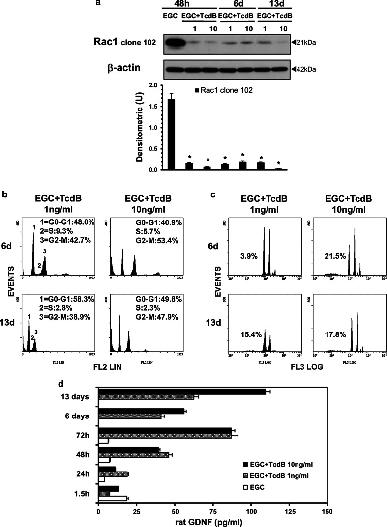 Fig. 16