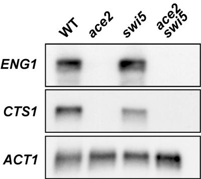 FIG. 5.