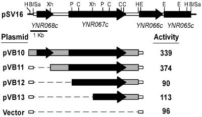 FIG. 1.