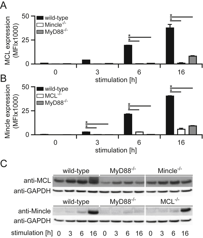 Fig. 2