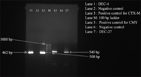 Figure-2