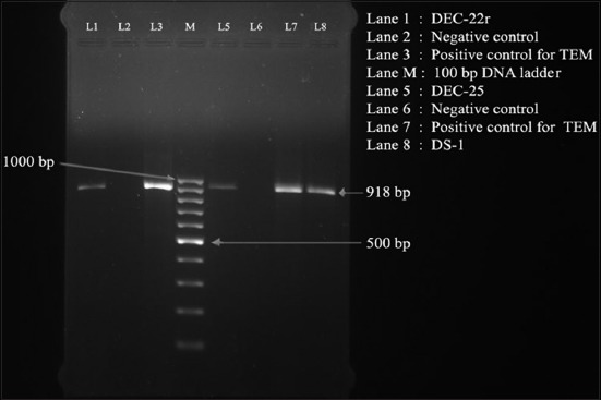 Figure-1