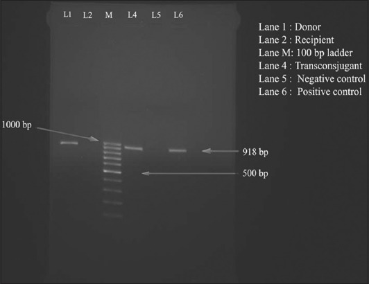 Figure-3