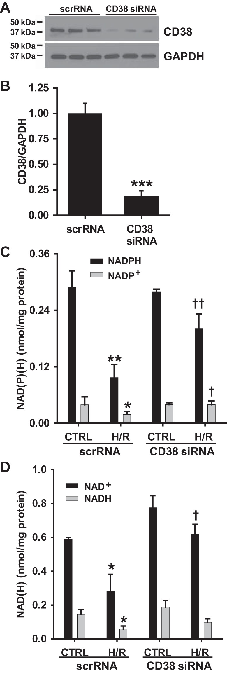 Fig. 8.