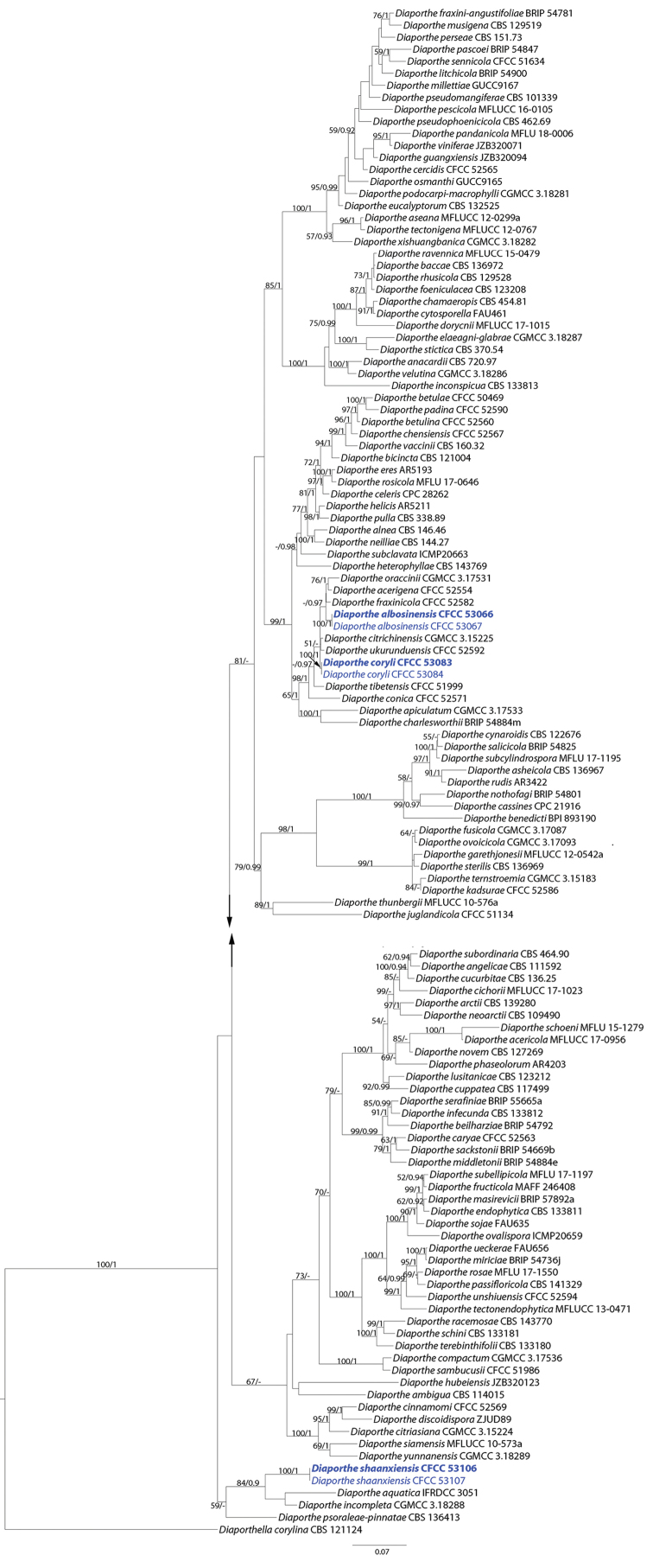 Figure 1.