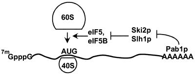 FIG. 8