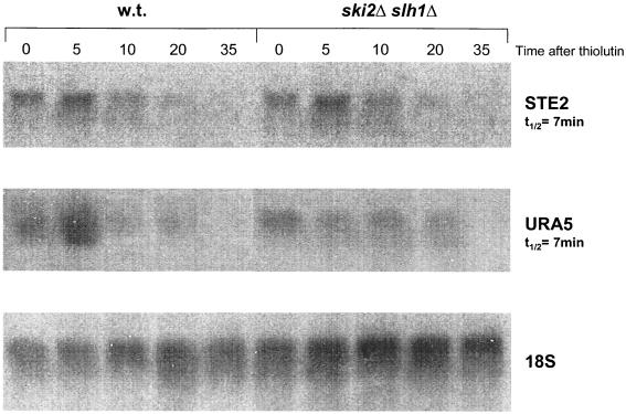 FIG. 7