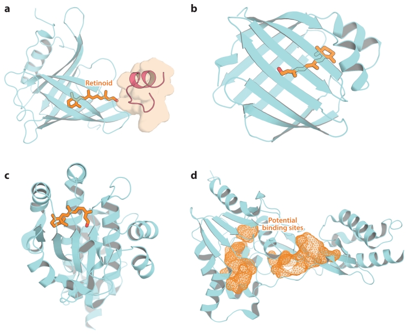 Figure 9