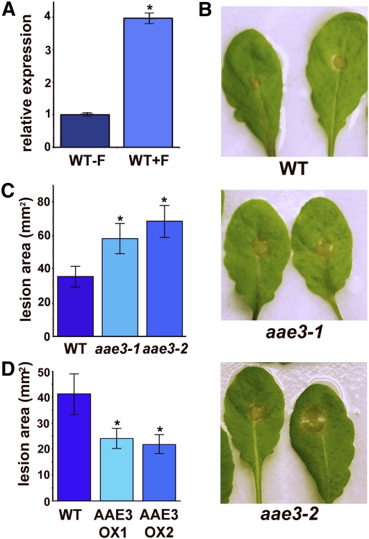 Figure 10.