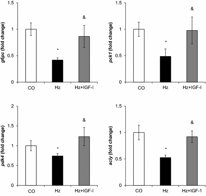 Fig. 2