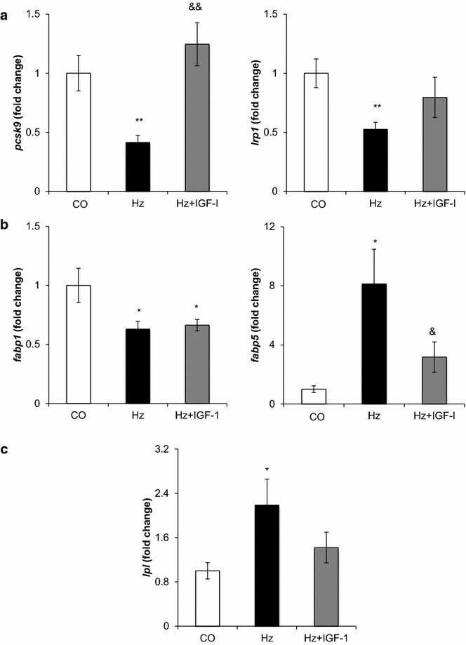 Fig. 4