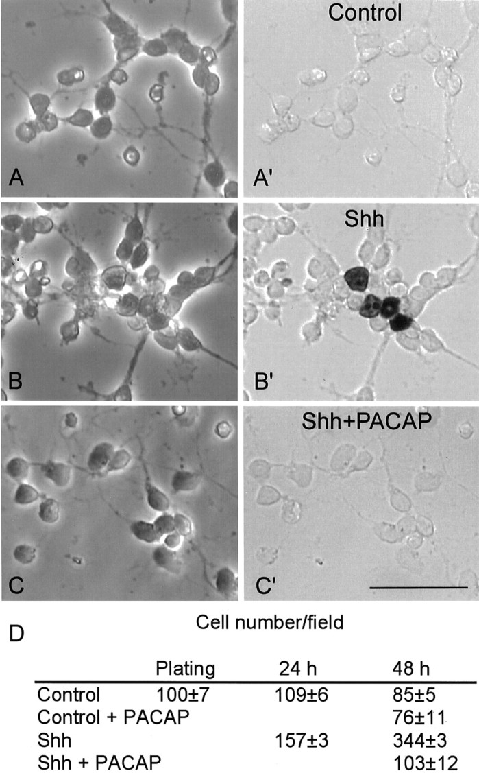 Fig. 8.