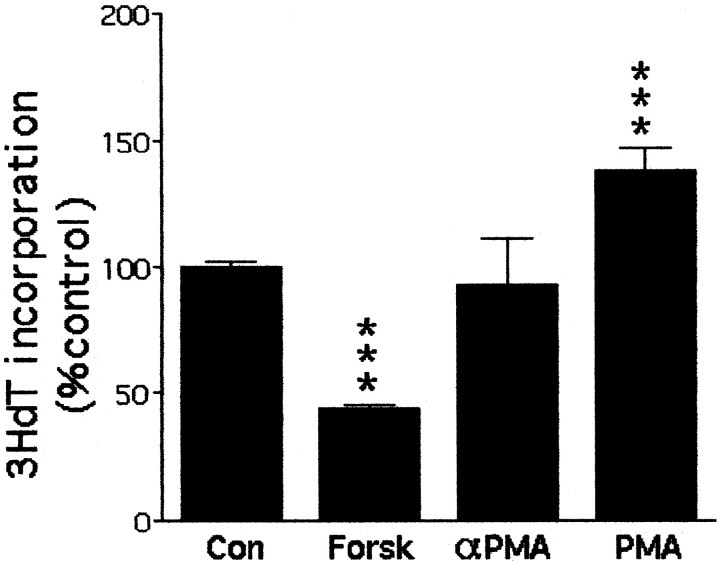 Fig. 10.