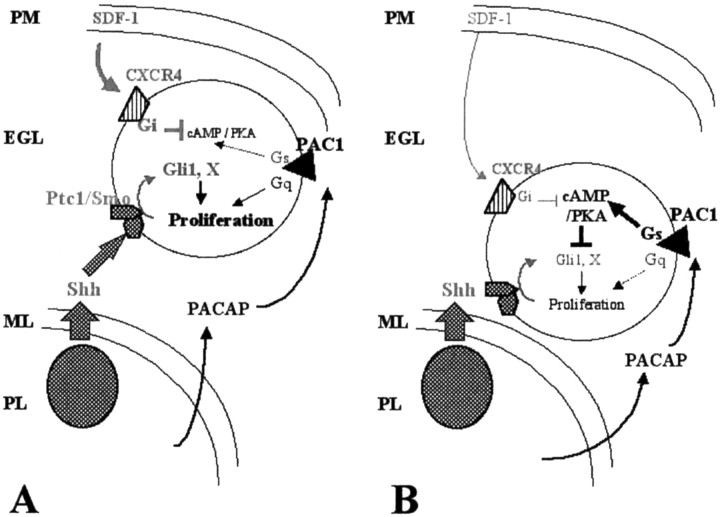 Fig. 11.