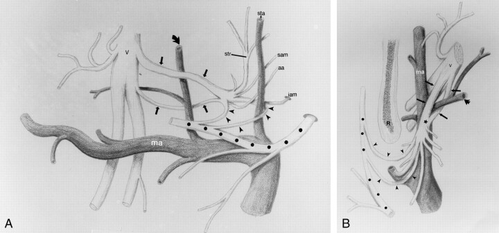 Fig 6.