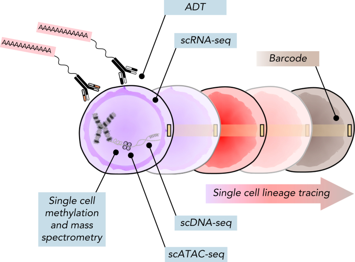 Figure 3.