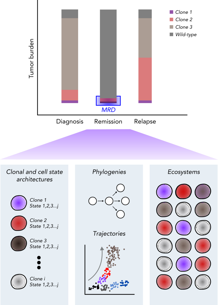 Figure 4.