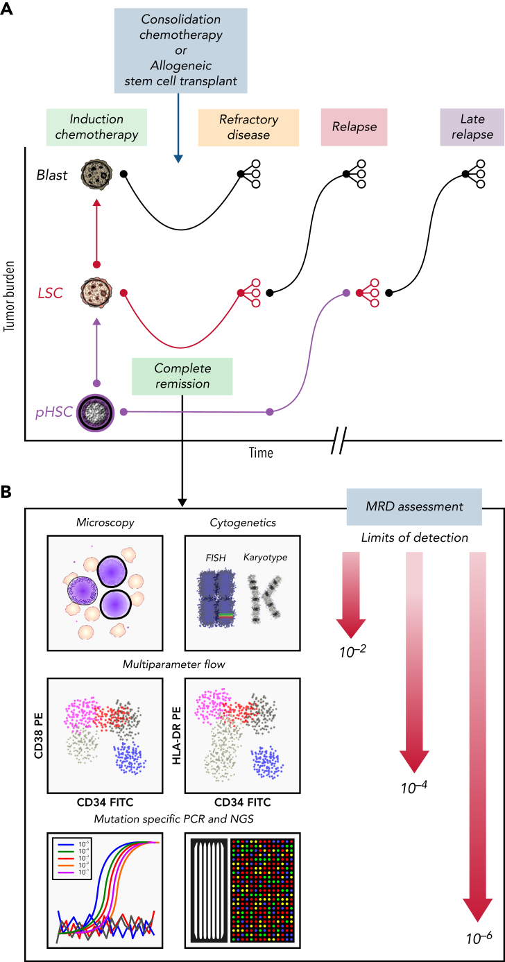 Figure 2.