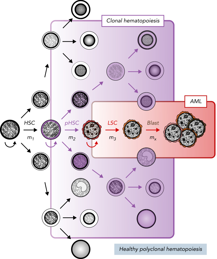 Figure 1.