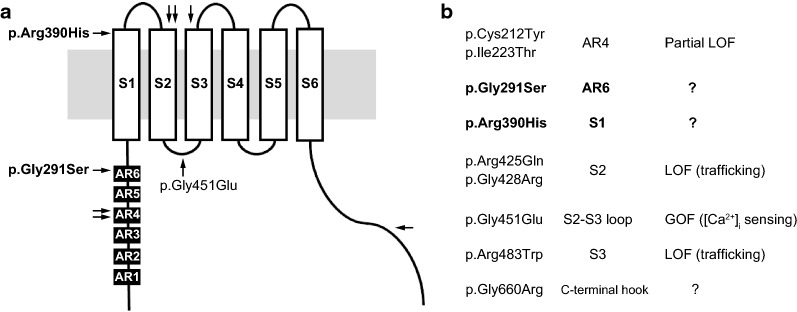 Fig. 2