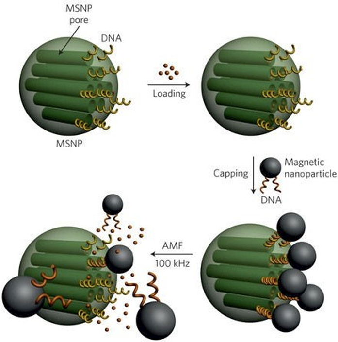 Figure 7: