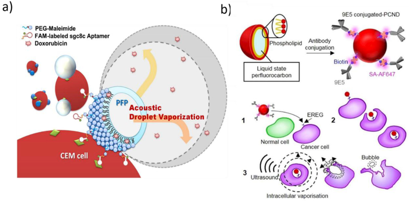 Figure 6: