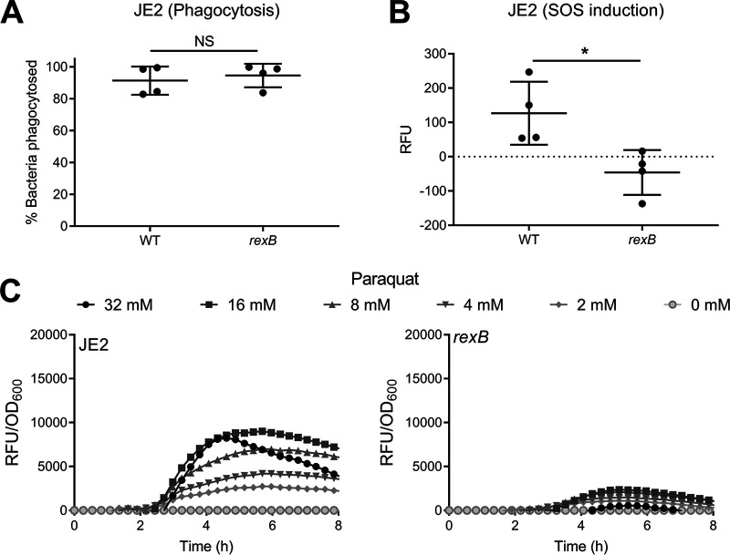 FIG 4