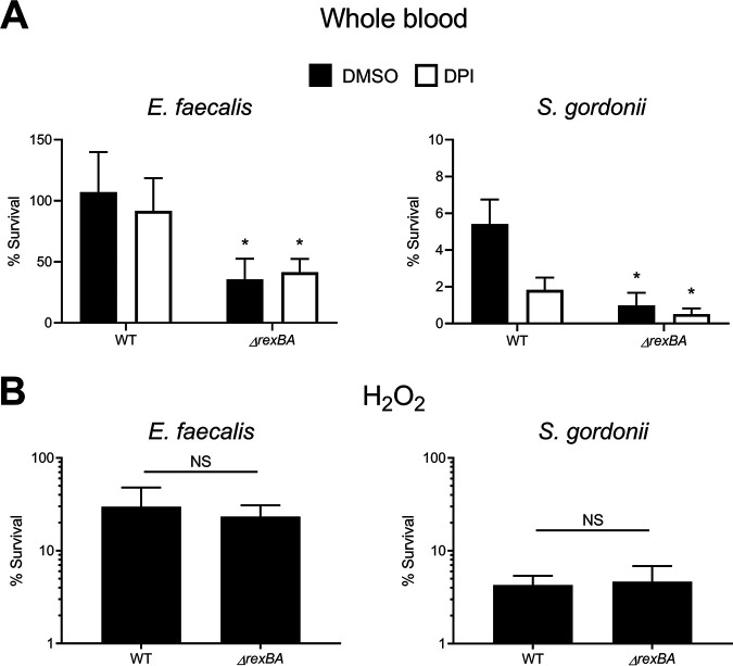 FIG 5