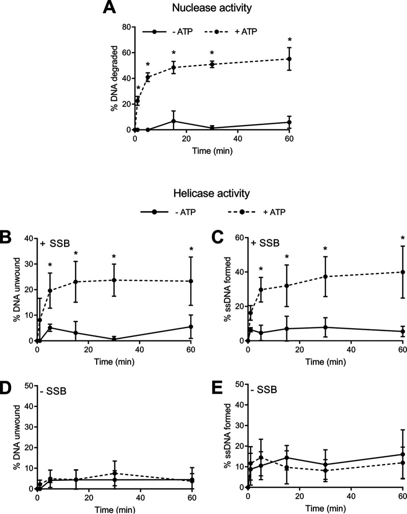 FIG 2