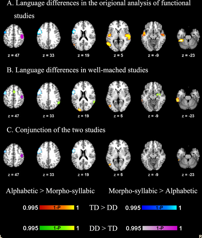 Figure 2—figure supplement 3.