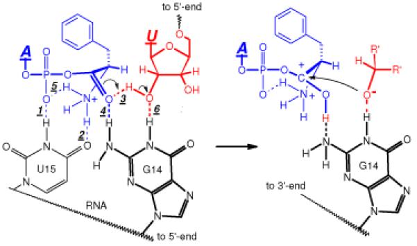 Figure 4B