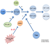 Graphical Abstract Figure.