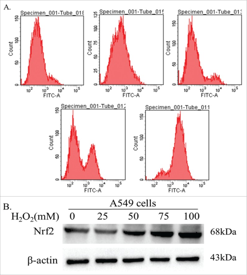 Figure 7.