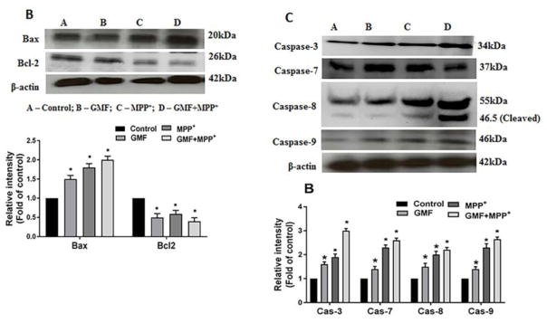 Fig. 12