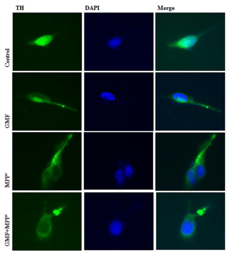 Fig. 13