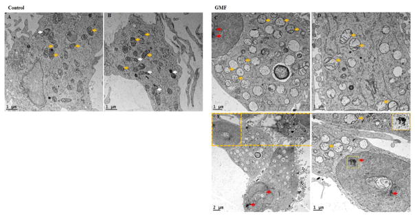 Fig. 14