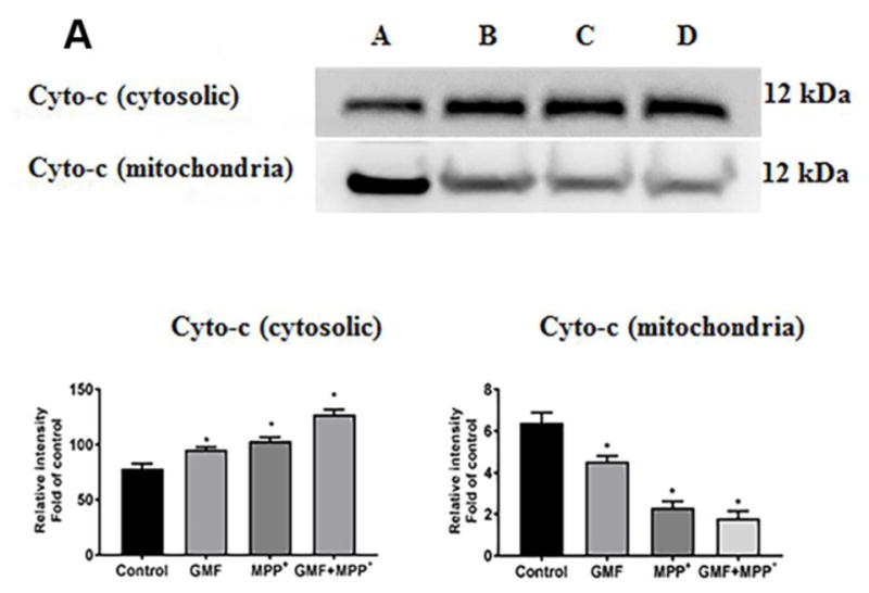 Fig. 11