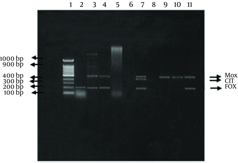 Figure 4.