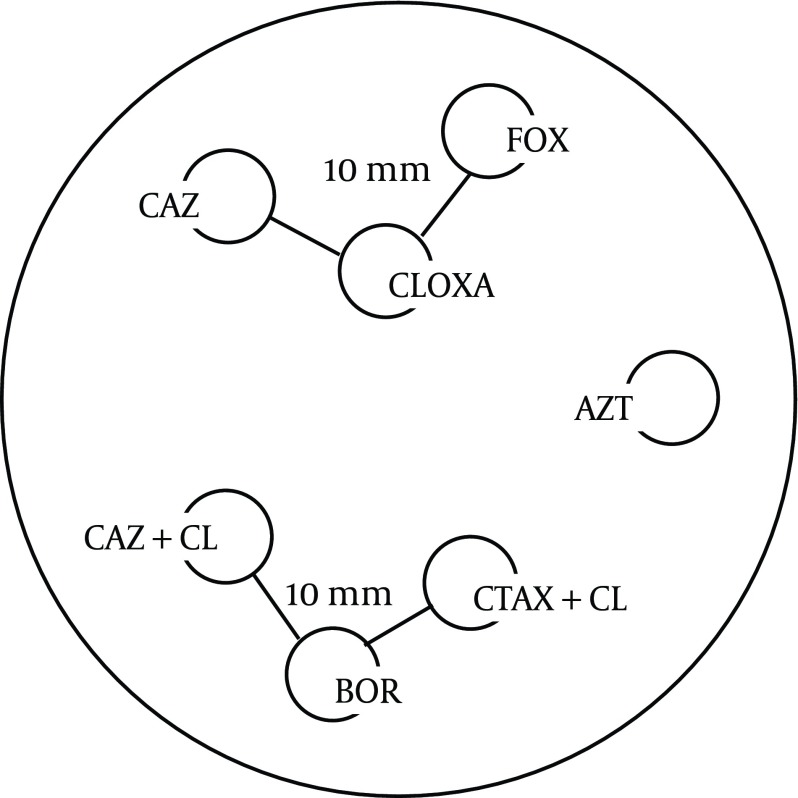 Figure 2.