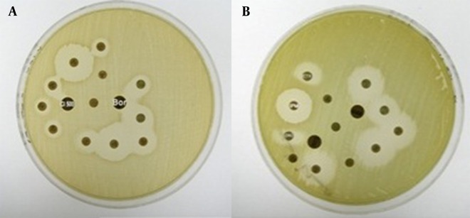 Figure 3.