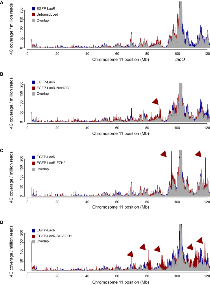 Figure 2