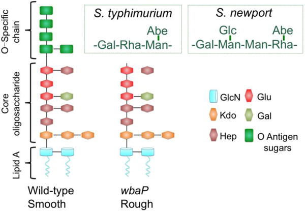 Figure 5