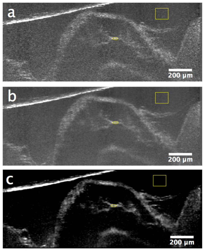 Fig. 5