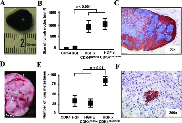 Figure 3-6934