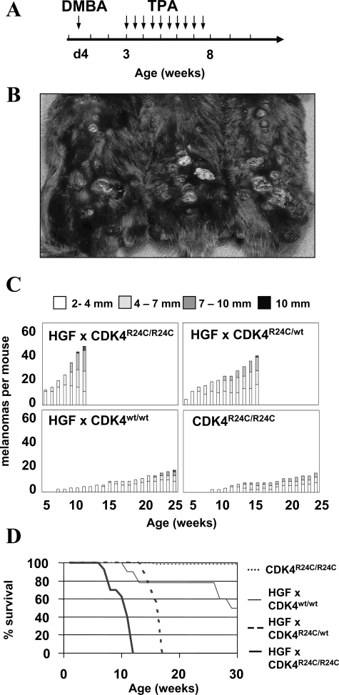 Figure 1-6934